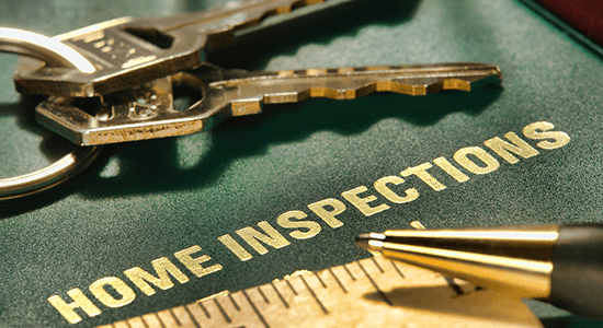 Mould Diagnostic & Risk Report